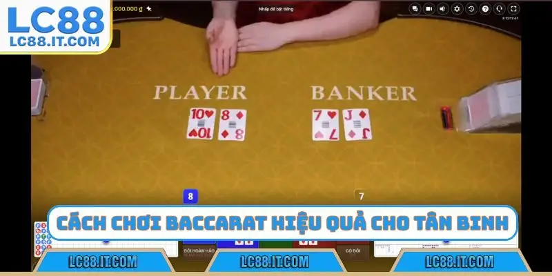 Quy luật chơi baccarat chuẩn chỉnh