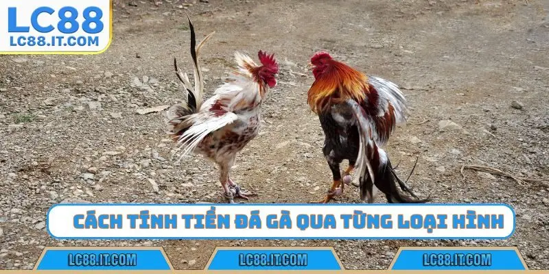 Cách tính tiền đá gà qua từng loại hình